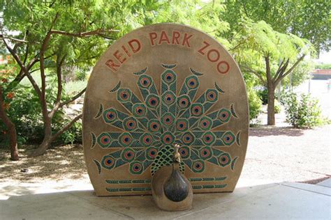 City of tucson zoo - The Tucson City Council voted 6-1 on Tuesday to move forward with a zoo expansion to the northwest that is a hybrid plan of two concepts that … Reid Park's future may include splash pads, fewer ... 